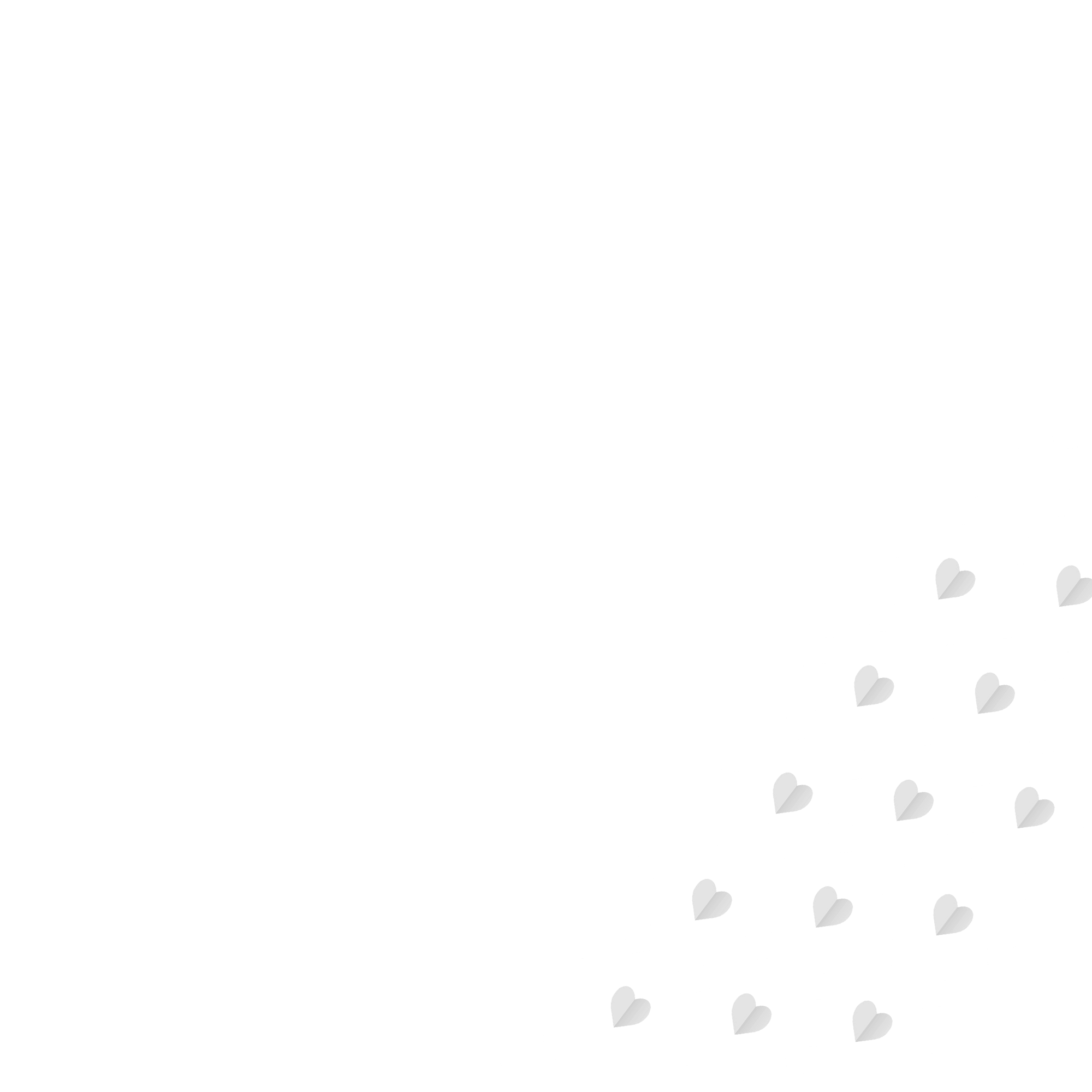 carpet cleaning company